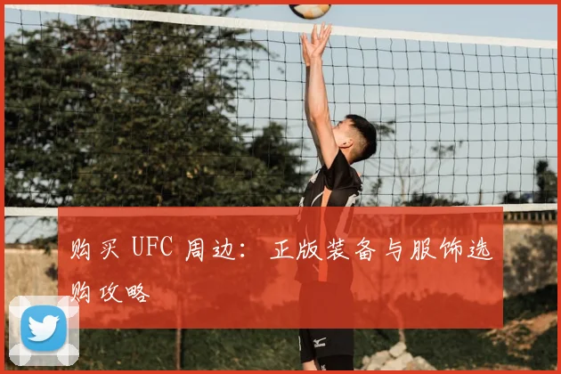 购买 UFC 周边：正版装备与服饰选购攻略