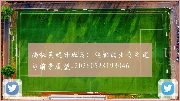 揭秘英超升班马：他们的生存之道与前景展望_20260528193046