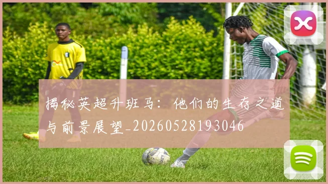 揭秘英超升班马:他们的生存之道与前景展望_20260528193046